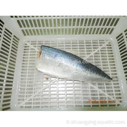 Filet de poisson japonicus de maquereau du Pacifique congelé